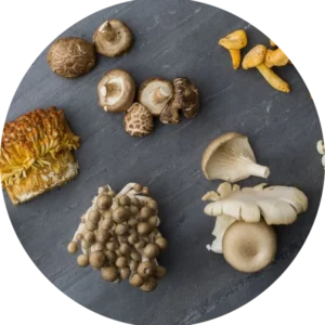 A close up of Mushrooms